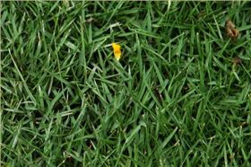 170936i3esdyl8ji60pdsv 170936i3esdyl8ji60pdsv