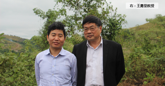 副教授级研究员、高级工程师