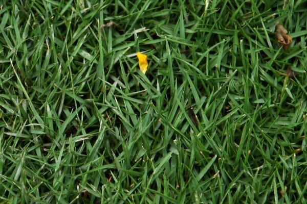 170936i3esdyl8ji60pdsv 170936i3esdyl8ji60pdsv