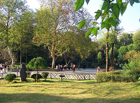 湖公园提质二期一标段建设工程 湖公园提质二期一标段建设工程