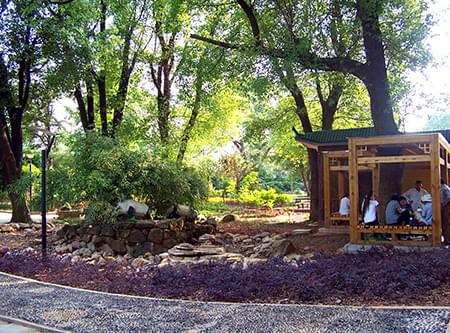 湖公园提质二期一标段建设工程 湖公园提质二期一标段建设工程