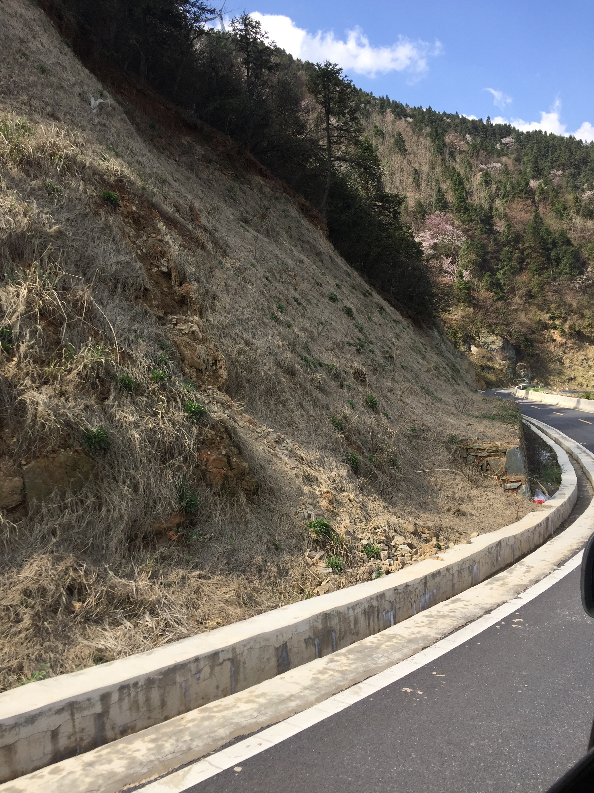 郴州市桂阳、临武县鲁荷金风电厂生态建设项目